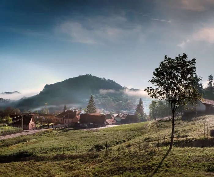 Nature exploring, misty village landscape